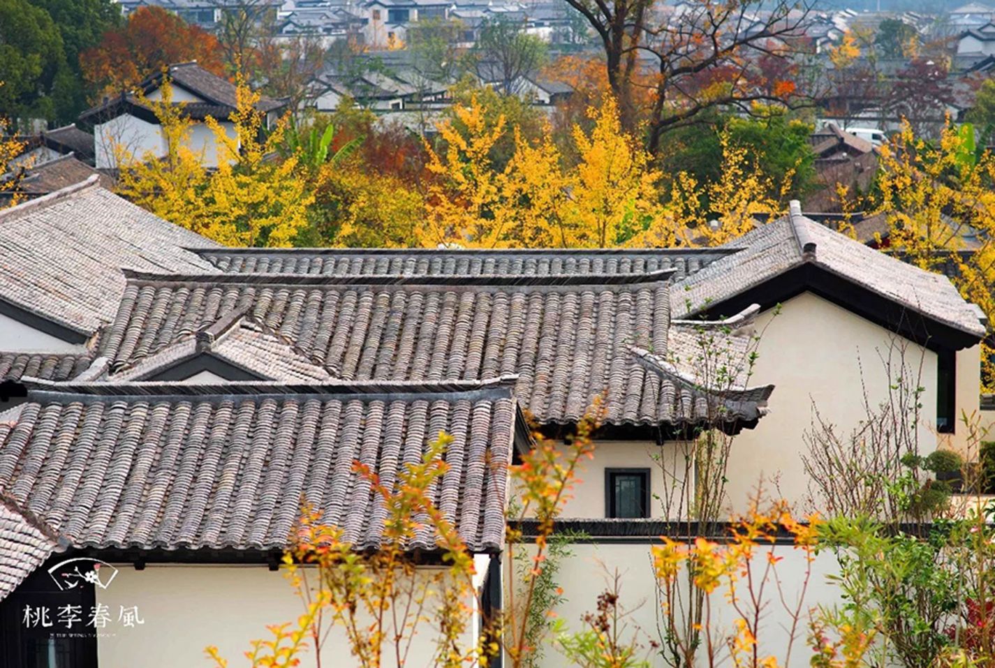 8846威尼斯(中国)股份有限公司